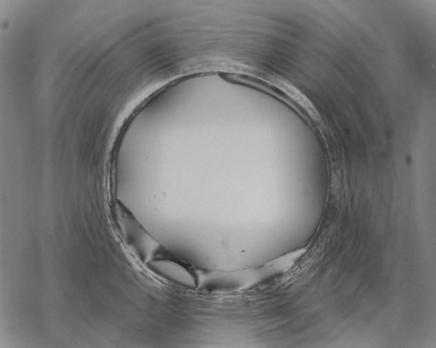 X0000068261144200605191756