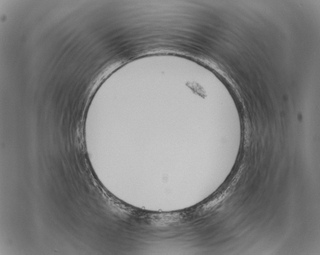 X0000068261145200605191756