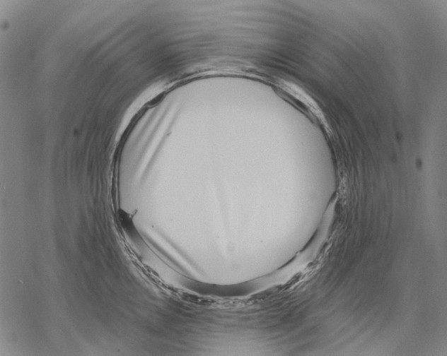 X0000068261146200605191756