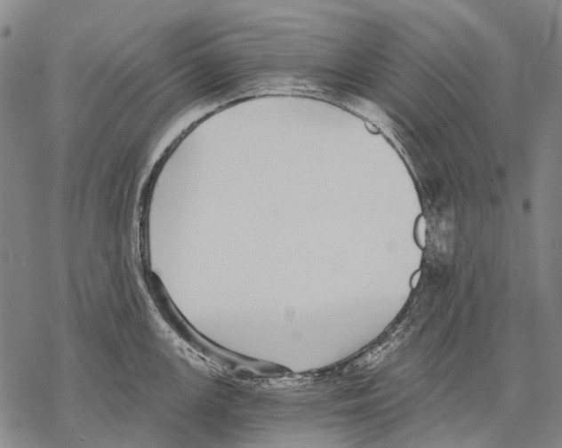 X0000068261147200605191756