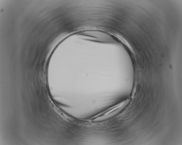 X0000068261148200605191756