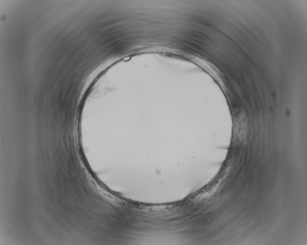 X0000068261149200605191756