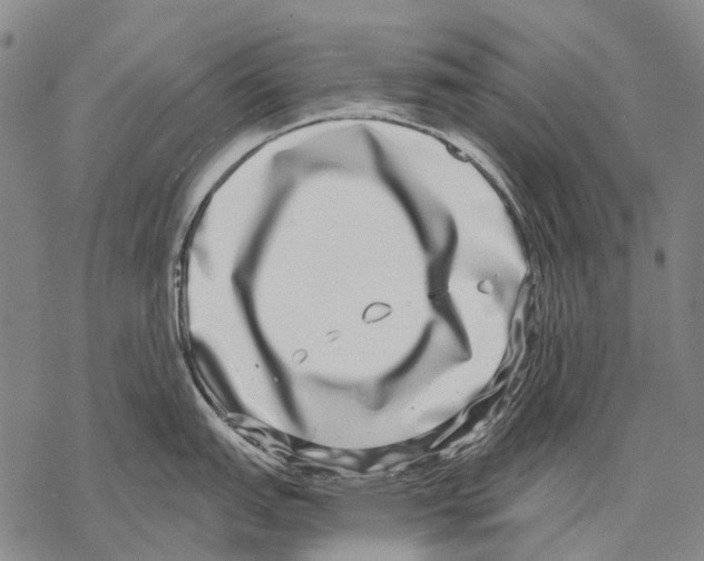 X0000068261151200605191756