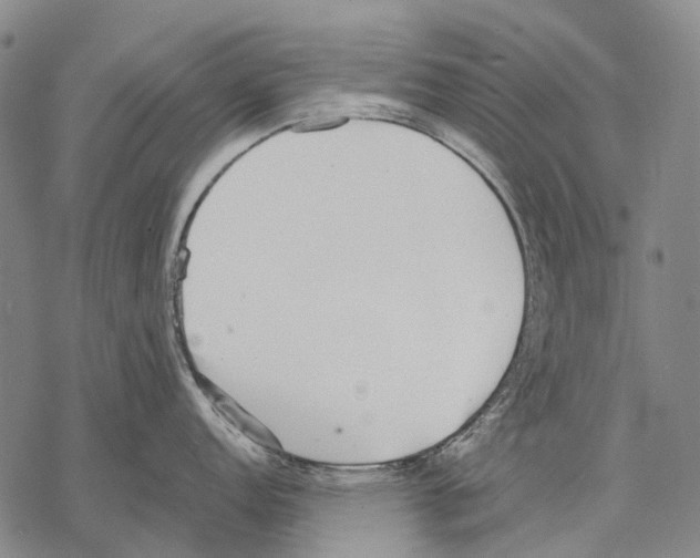 X0000068261152200605191756