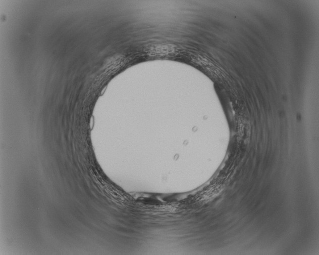 X0000068261153200605191756