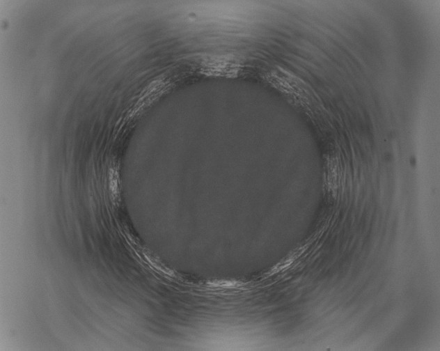 X0000068261154200605191756