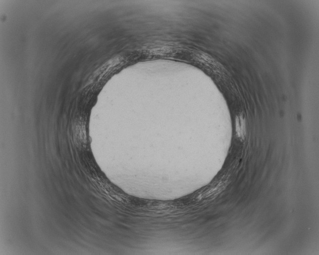 X0000068261155200605191756