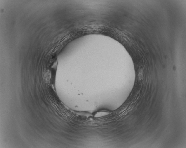 X0000068261156200605191756