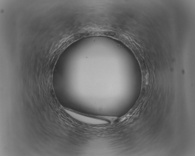 X0000068261157200605191756