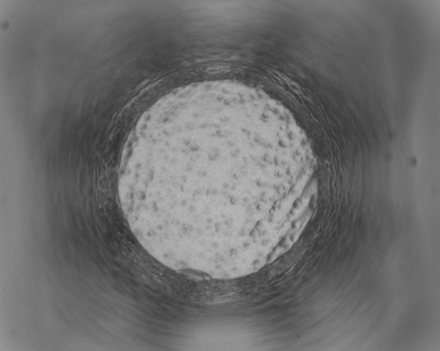 X0000068261158200605191756