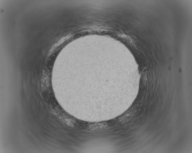 X0000068261159200605191756