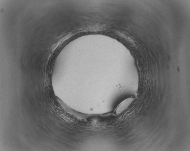 X0000068261160200605191756