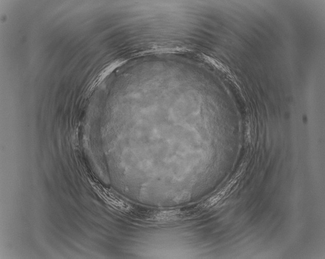 X0000068261161200605191756