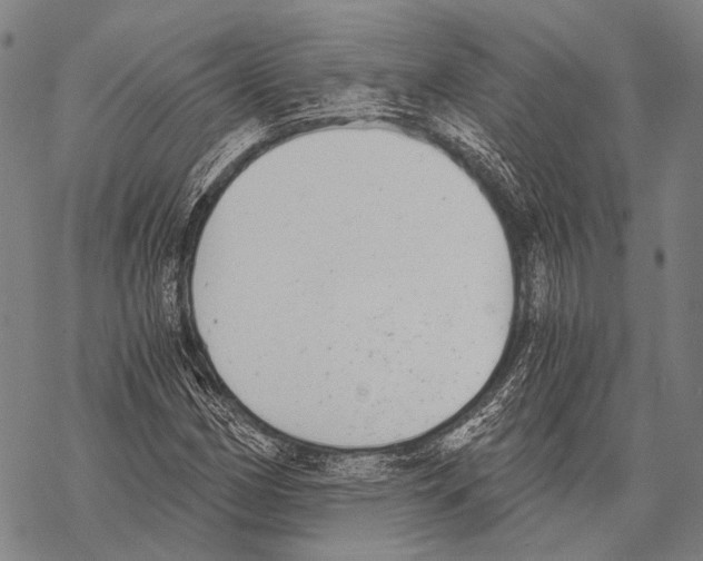 X0000068261162200605191755