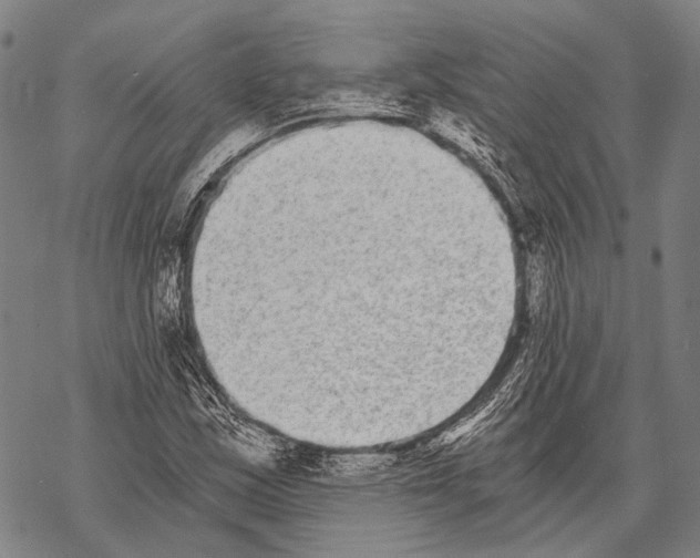 X0000068261163200605191755