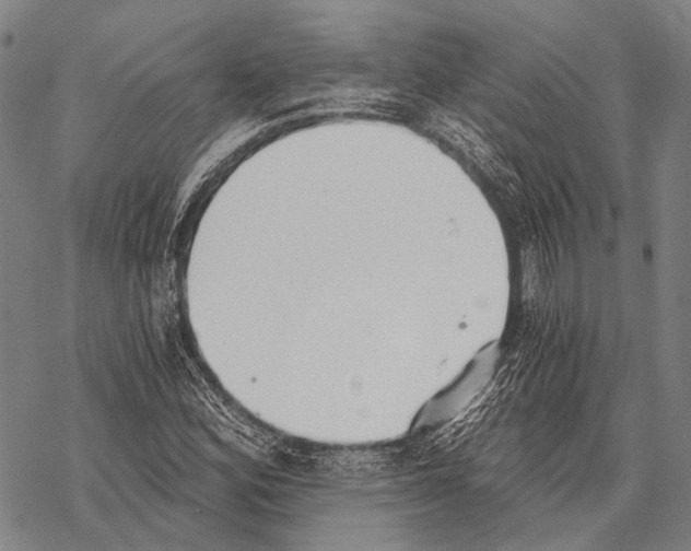 X0000068261164200605191755