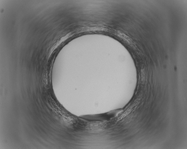 X0000068261165200605191755