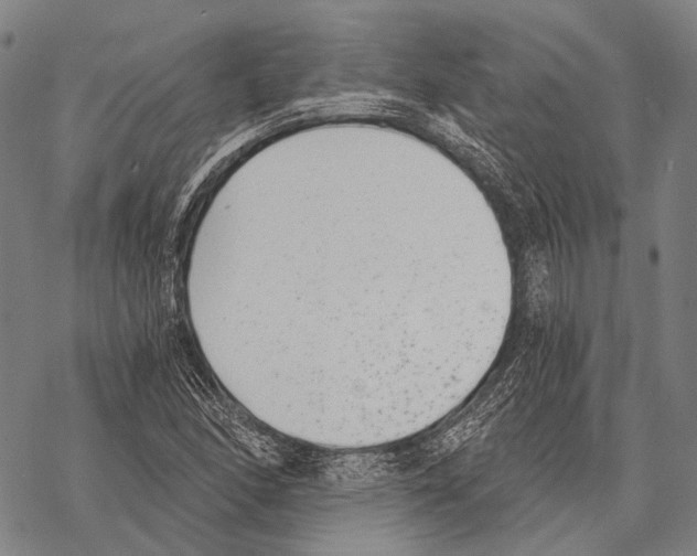 X0000068261166200605191755