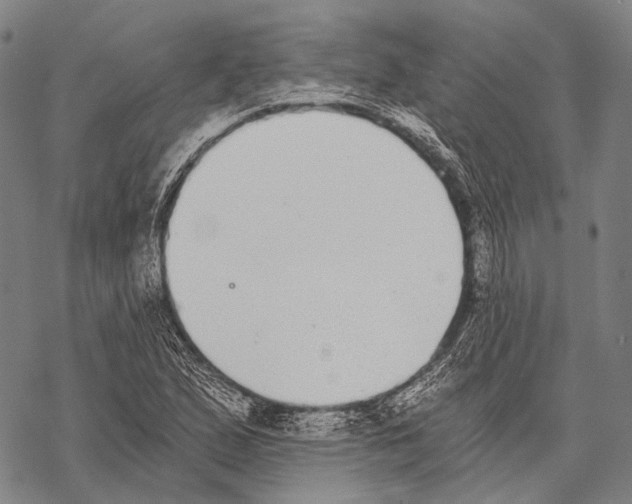 X0000068261167200605191755