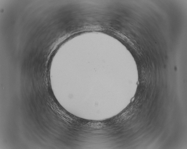 X0000068261168200605191755