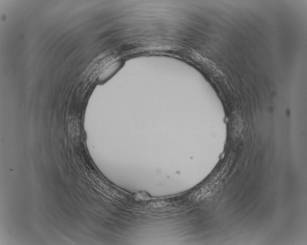 X0000068261169200605191755