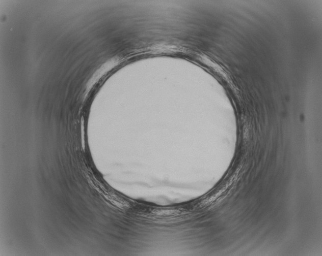 X0000068261171200605191755