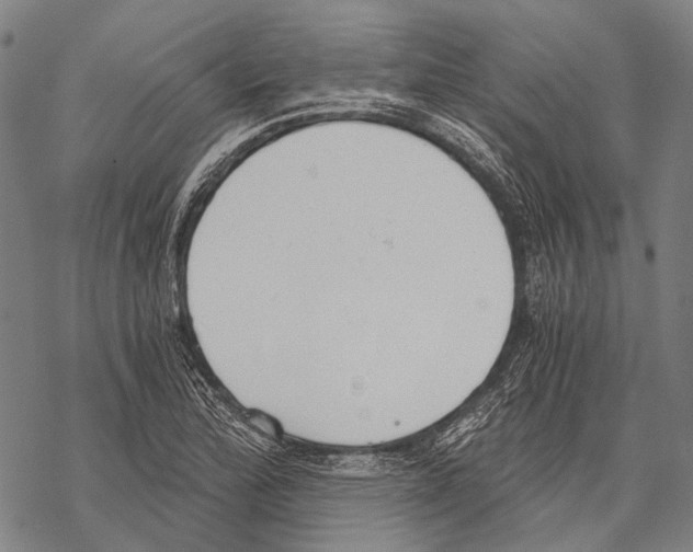 X0000068261172200605191755