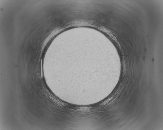 X0000068261175200605191755