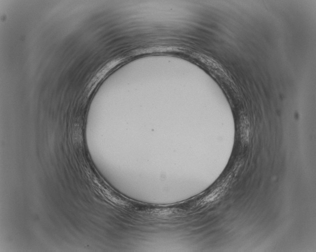 X0000068261177200605191755