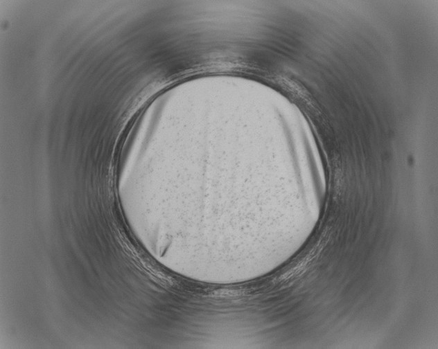 X0000068261178200605191755