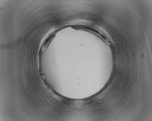 X0000068261180200605191755