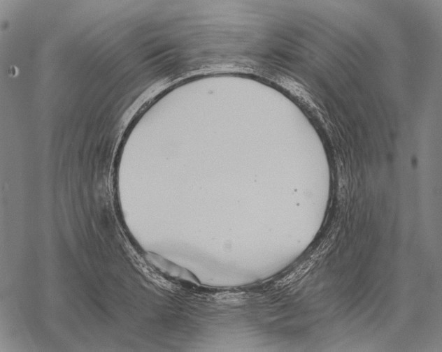 X0000068261181200605191755