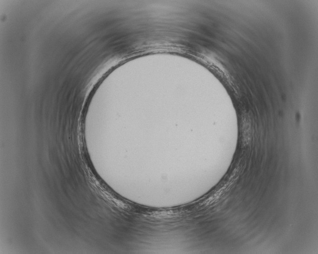 X0000068261182200605191755