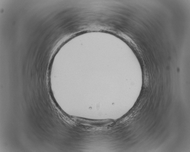 X0000068261183200605191755