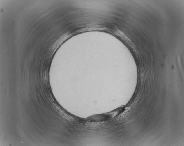 X0000068261185200605191755