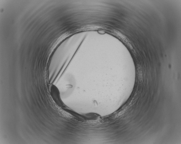 X0000068261186200605191755