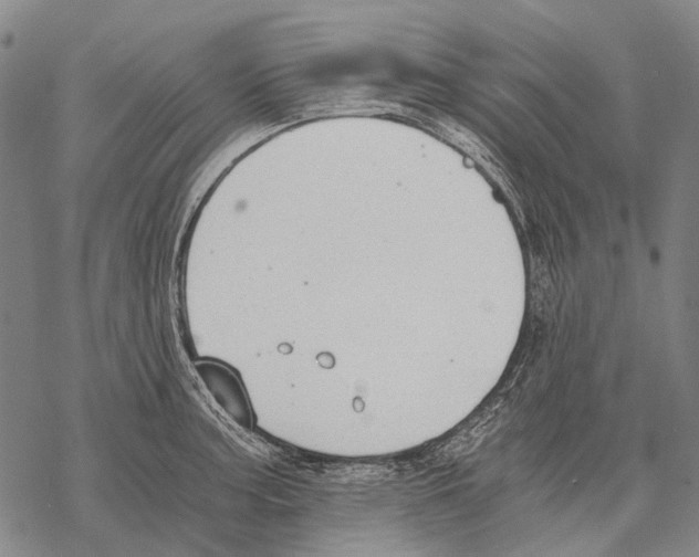 X0000068261187200605191755