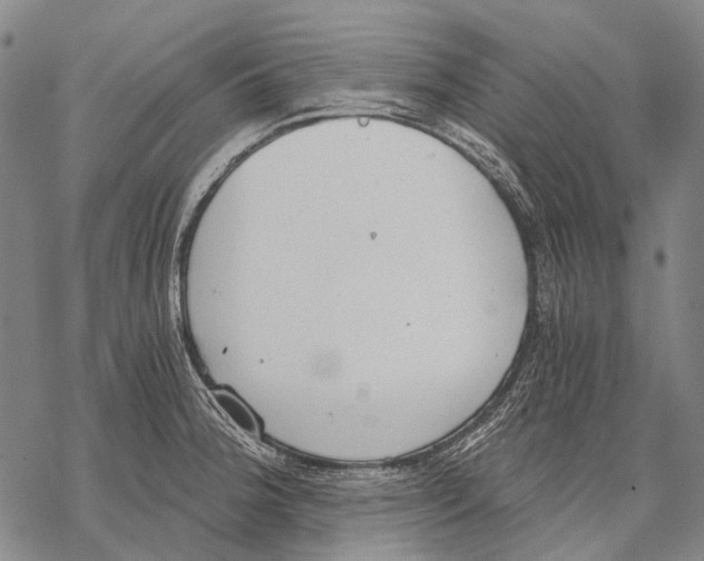 X0000068261188200605191755