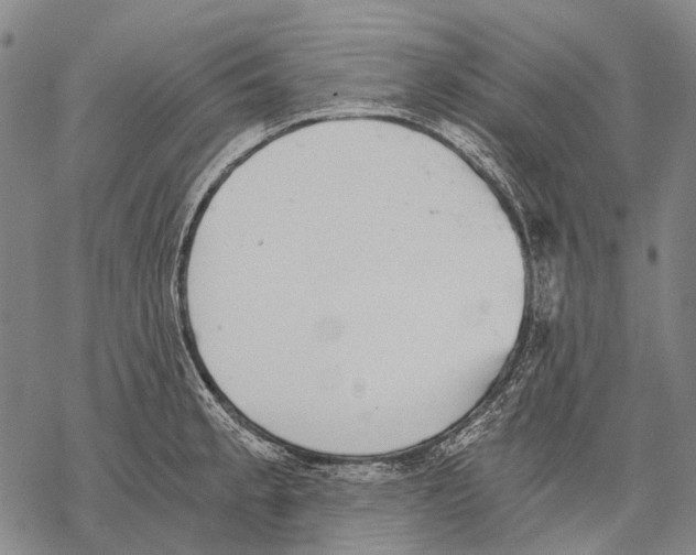 X0000068261189200605191755