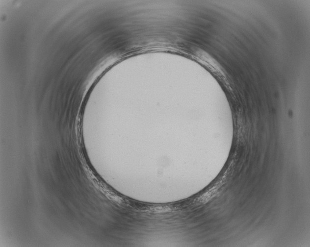 X0000068261190200605191755