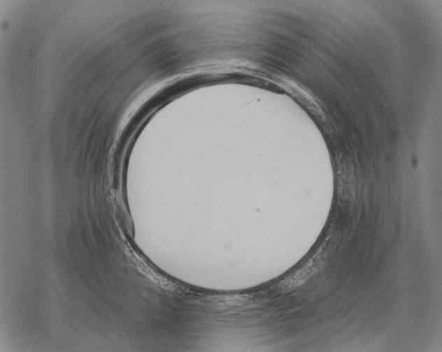 X0000068261192200605191755