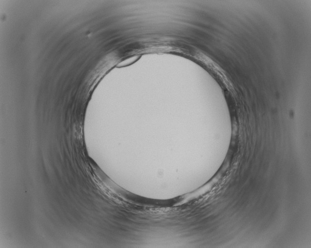 X0000068261193200605191755