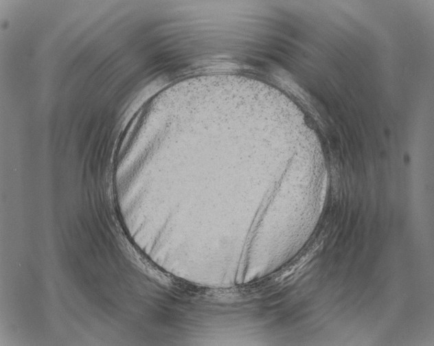 X0000068261194200605191755