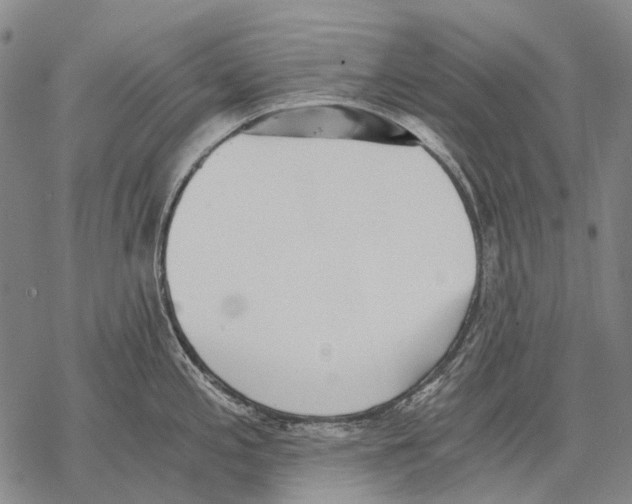 X0000068261197200605191755