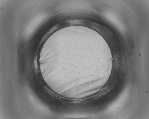 X0000068261198200605191755