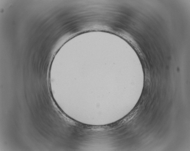 X0000068261199200605191755