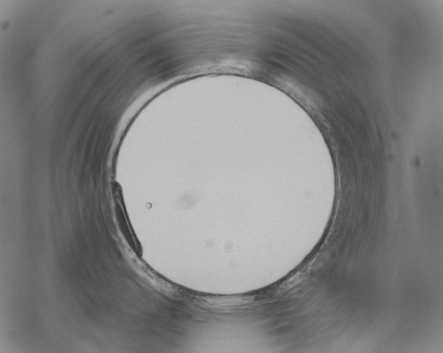 X0000068261200200605191755