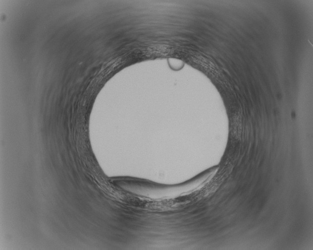 X0000068261201200605191754