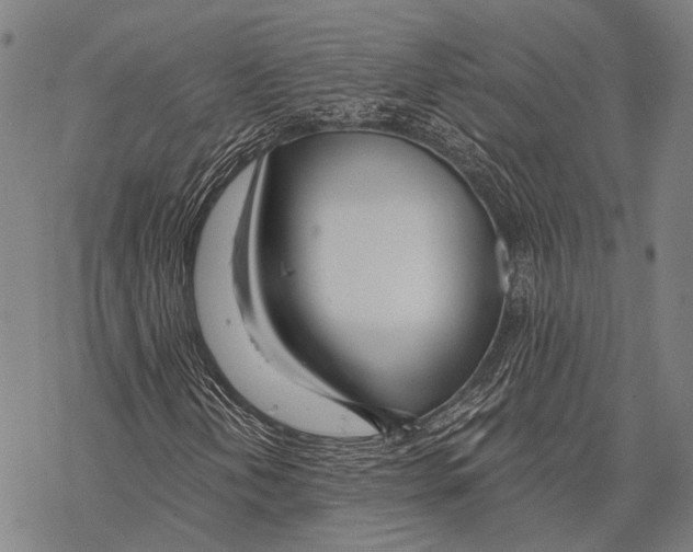 X0000068261202200605191754