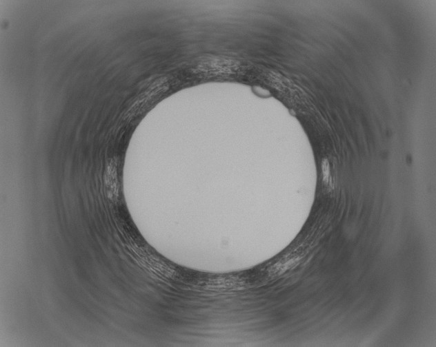 X0000068261203200605191754